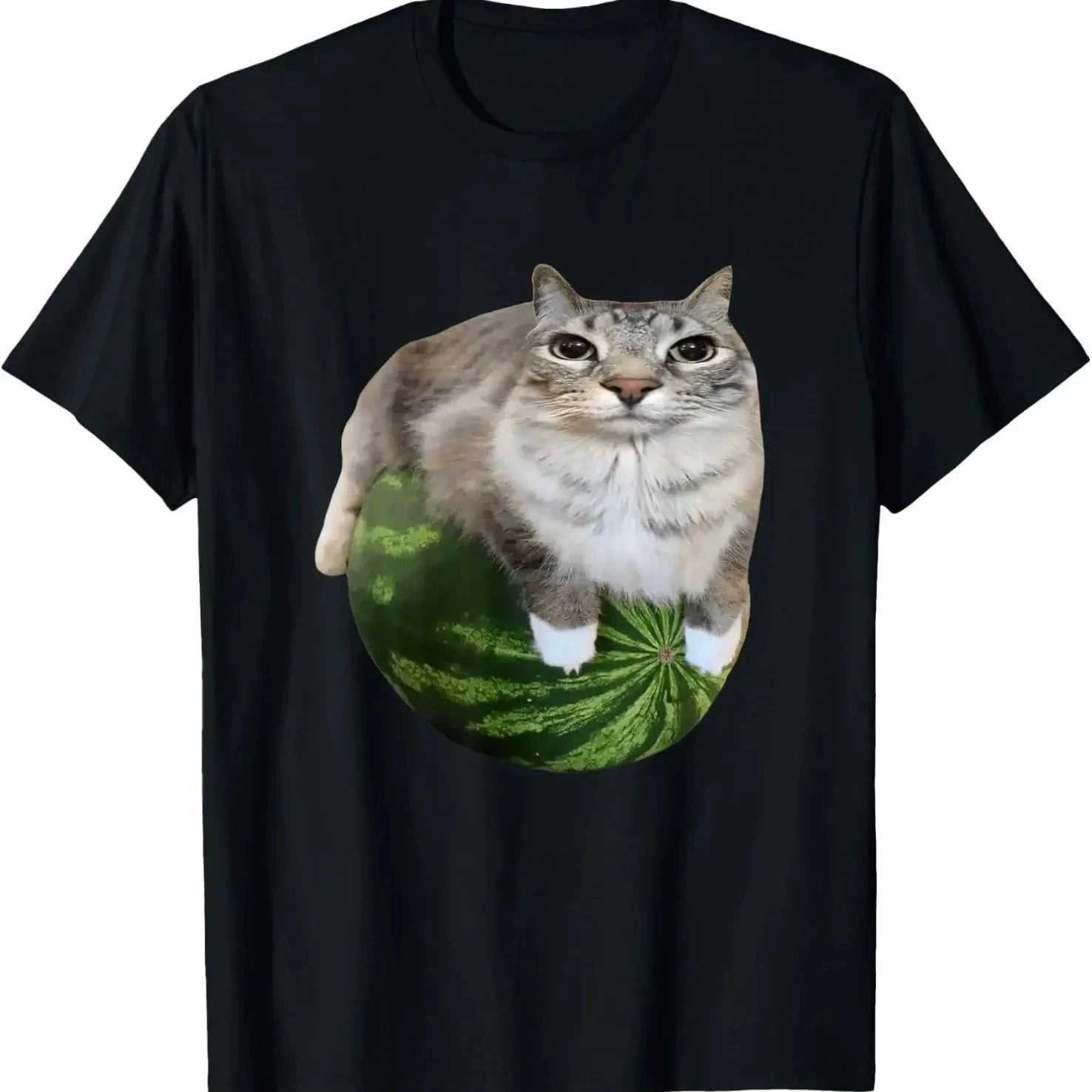 Watermelon Cat Meme T-Shirt